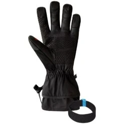 Auclair Panorama Softshell Gloves - Women's