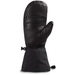 Dakine Phoenix Gore-Tex Mittens - Women's