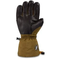 Dakine Team Phoenix Gore-Tex Gloves