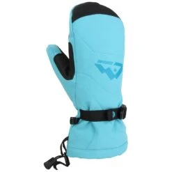 Gordini Fall Line Mittens - Women's -Dakine Shop gordini fall line mittens women s 1 4