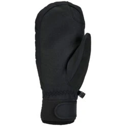 Gordini Rally GORE-TEX Mittens 11 Gordini Rally GORE-TEX Mittens -Dakine Shop gordini rally gore tex mittens 1 5