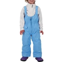 Obermeyer Cara Mia Jacket + Snoverall Bibs - Toddler Girls' 2022 -Dakine Shop obermeyer cara mia jacket snoverall bibs toddler girls 2022 1 4