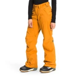 The North Face Venture 2 Jacket + Freedom Insulated Pants - Women's 2022 -Dakine Shop the north face venture 2 jacket freedom insulated pants women s 2022 1 17