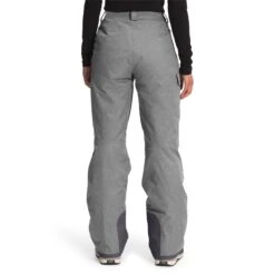The North Face Venture 2 Jacket + Freedom Insulated Pants - Women's 2022 -Dakine Shop the north face venture 2 jacket freedom insulated pants women s 2022 1 6