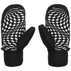 Volcom V. CO Nyle Mittens